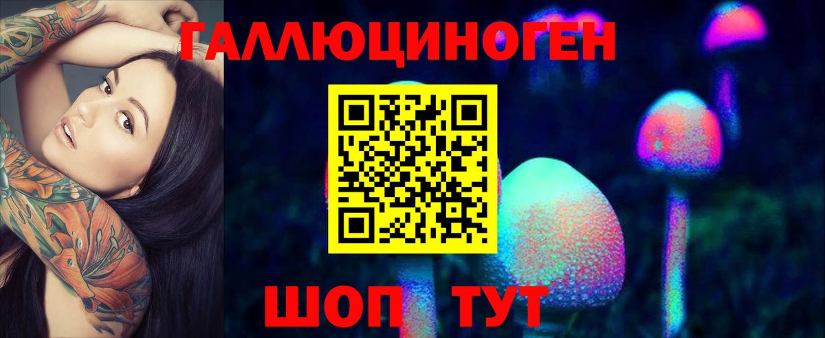 хочу   Вход с VPN  Набережные Челны  Галлюциногенные грибы MAGIC MUSHROOMS  Псилоцибиновые грибы прущие грибы 